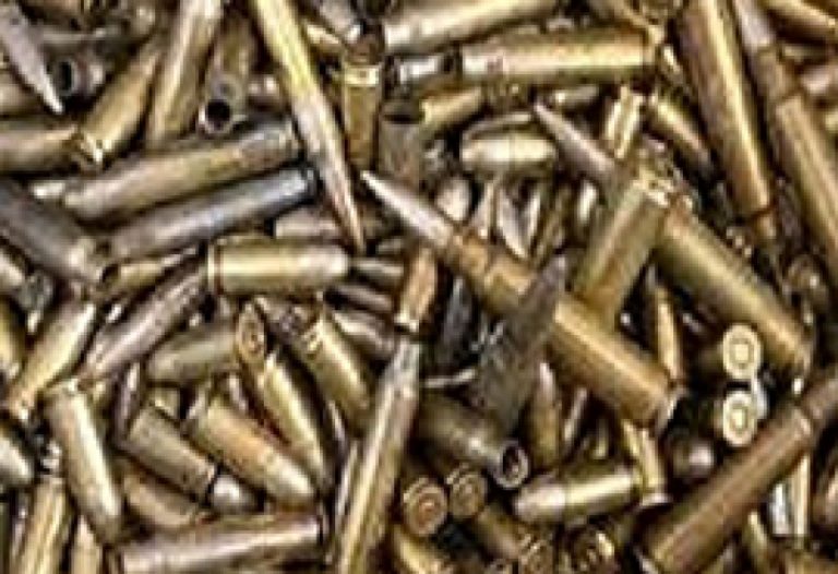 AFFAIRE FRAUDE A L’IMPORTATION DES MUNITIONS :  Où en est l’enquête promise ?