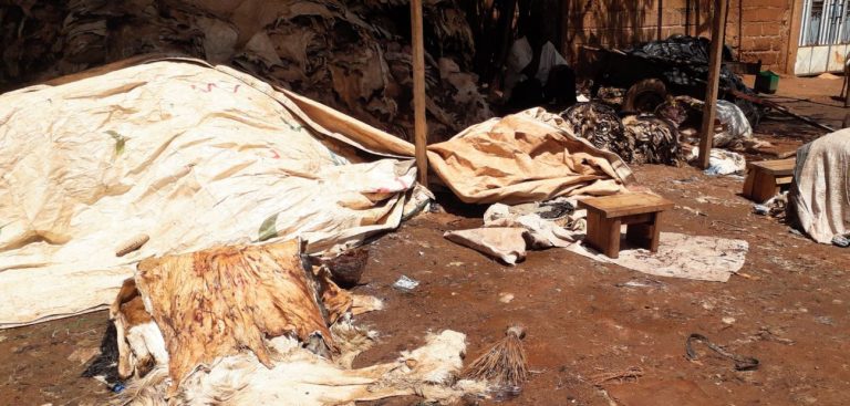 QUARTIER DASSASGHO DE OUAGADOUGOU : Pour son fric, il pourrit impunément la vie de ses voisins.