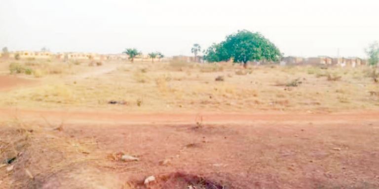 ZAD : Polémique autour de deux parcelles de la Chambre de commerce à la ZAD