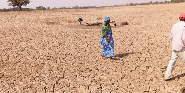 BARRAGE DE PENDEGA A KOMBISSIRI : Un assèchement précoce qui plonge plusieurs villages dans le désespoir