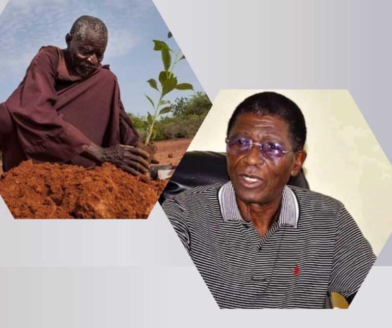 Le Faso en deuil : deux  Baobabs sont tombés !