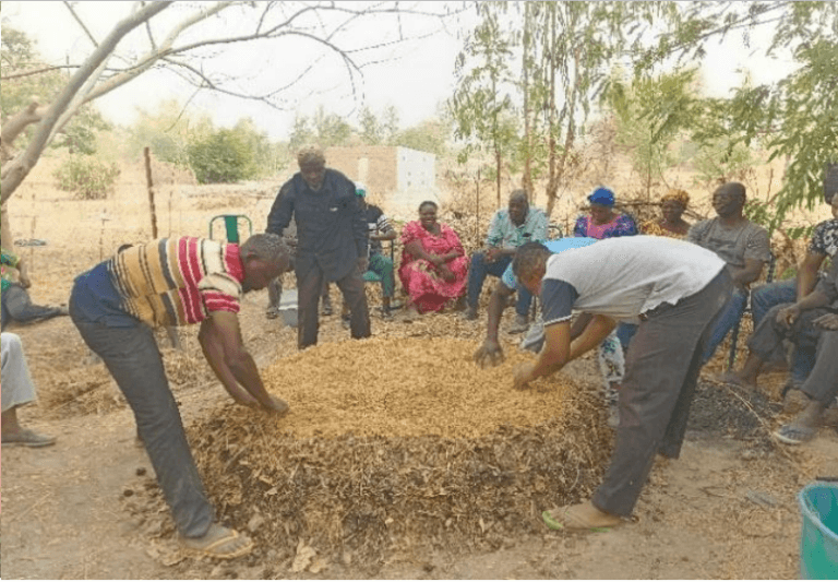 RENTABILISATION AGRICOLE AU BURKINA : La solution bokashi ou l’engrais du pauvre