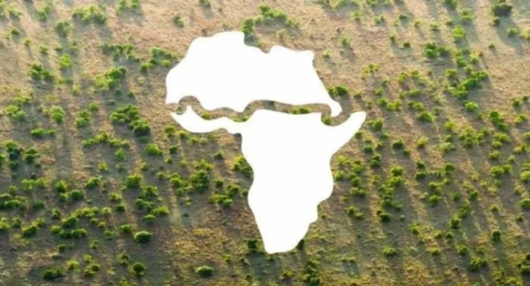 CONSUMEE PAR LA TERREUR : L’ascension et la chute du projet de la Grande Muraille Verte en Afrique de l’Ouest